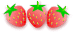 Ichigo8
