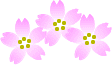 bdsakura21